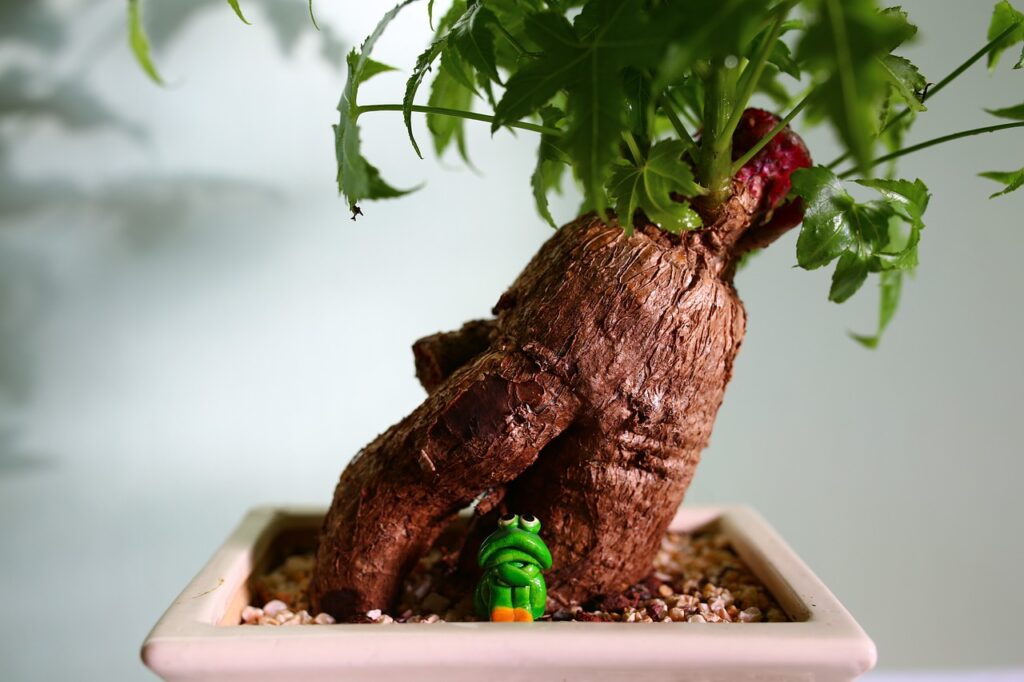 Bonsai Roots